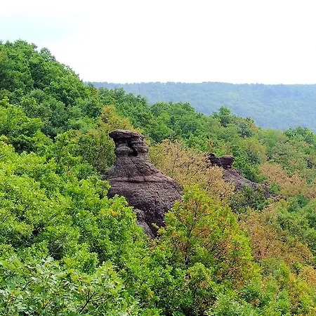 Cseppko Panzio 3* Abaliget