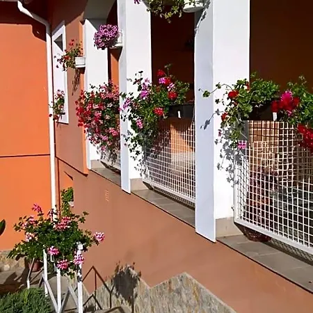 B&B Cseppko Panzio 3*