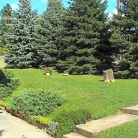 B&B Cseppko Panzio