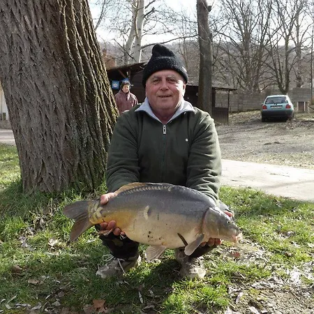 فندق مبيت وإفطار Cseppko Panzio Abaliget