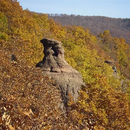 فندق مبيت وإفطار Cseppko Panzio 3*