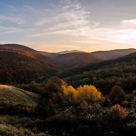 فندق مبيت وإفطار Cseppko Panzio 3*