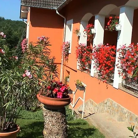 Cseppko Panzio * Abaliget