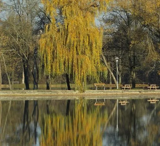 Cseppko Panzio Abaliget