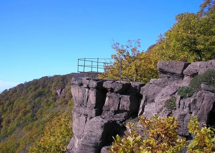 Cseppko Panzio Abaliget