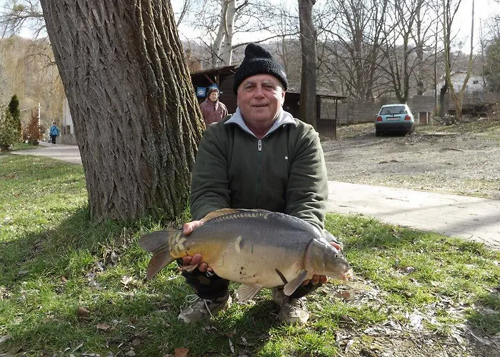 住宿加早餐酒店 Cseppko Panzio Abaliget