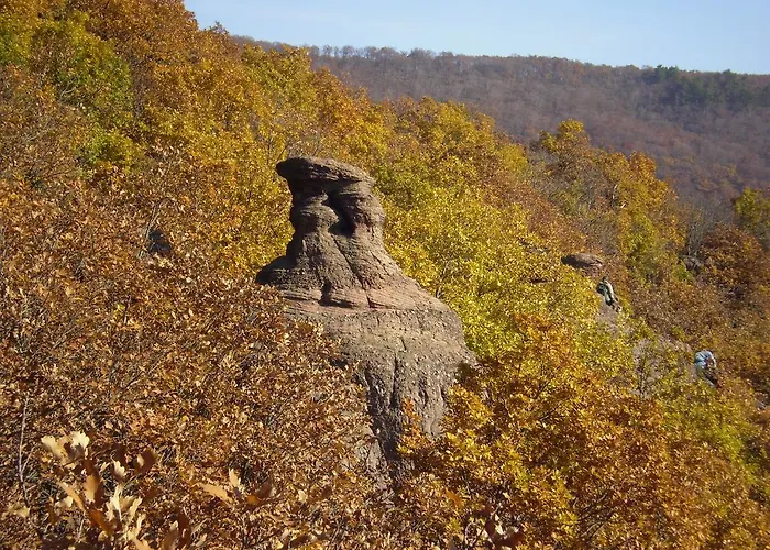 Bed & Breakfast Cseppko Panzio 3*