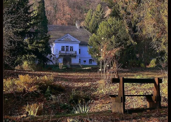 Cseppko Panzio Abaliget