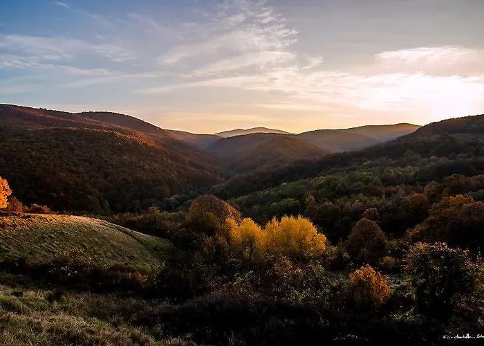 住宿加早餐酒店 Cseppko Panzio 3*