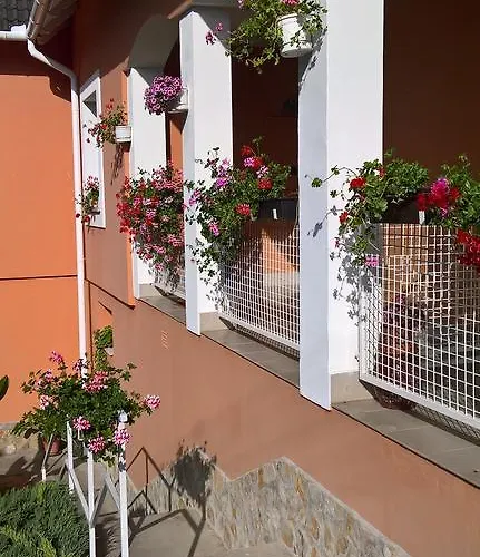 Cseppko Panzio 住宿加早餐酒店