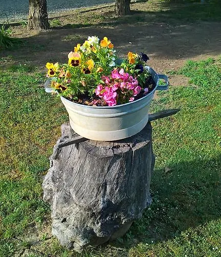 Cseppko Panzio 住宿加早餐酒店 3*